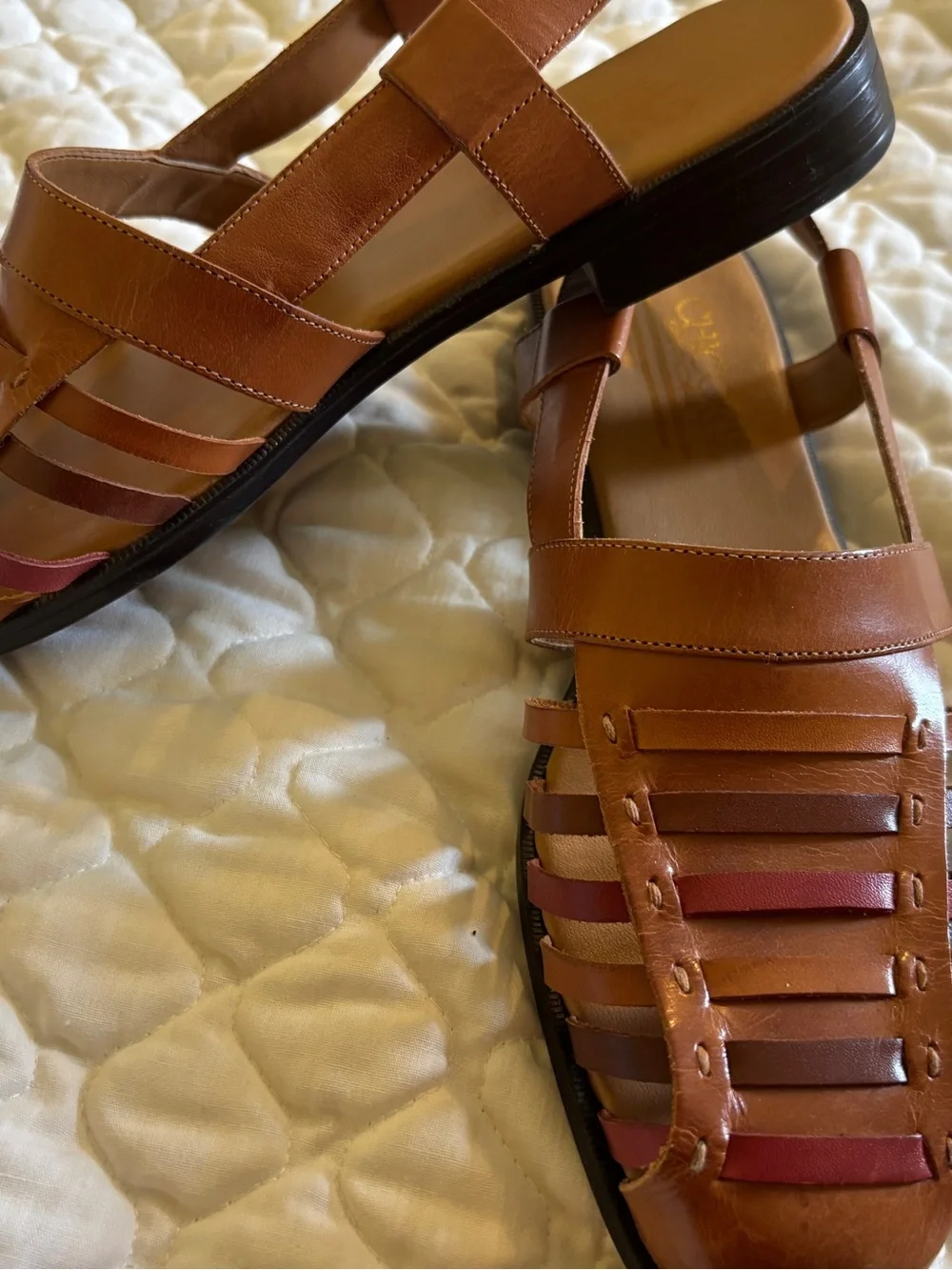 Chicory leather multi